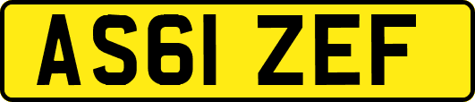 AS61ZEF