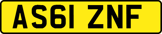 AS61ZNF