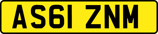 AS61ZNM
