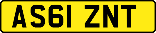 AS61ZNT