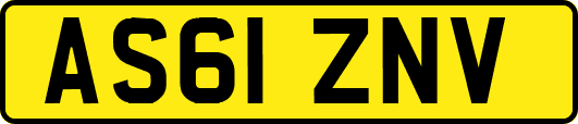 AS61ZNV