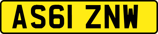 AS61ZNW