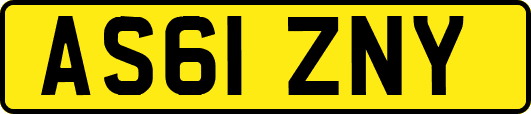 AS61ZNY