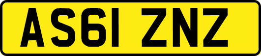 AS61ZNZ