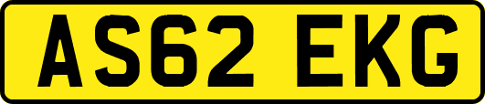 AS62EKG