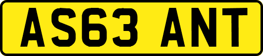 AS63ANT