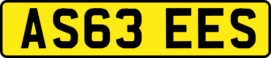 AS63EES