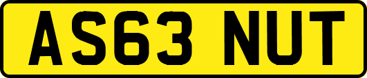 AS63NUT