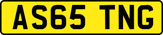 AS65TNG
