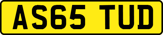 AS65TUD