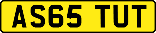 AS65TUT