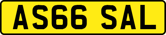 AS66SAL