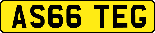 AS66TEG