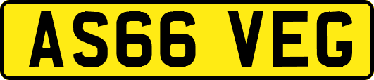 AS66VEG