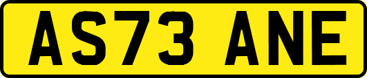 AS73ANE