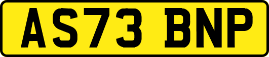 AS73BNP