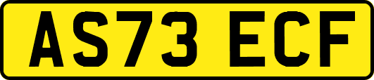 AS73ECF