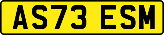 AS73ESM