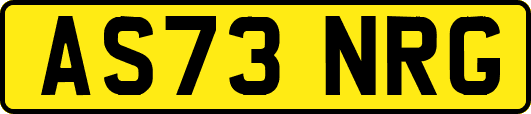 AS73NRG