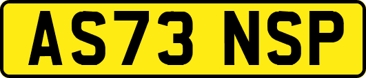AS73NSP