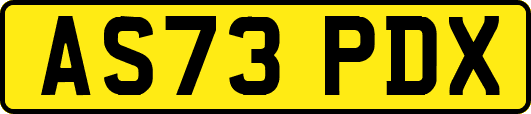 AS73PDX