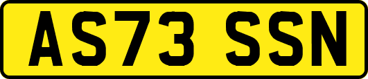 AS73SSN