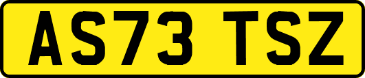 AS73TSZ