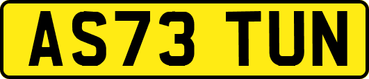 AS73TUN