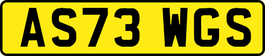 AS73WGS