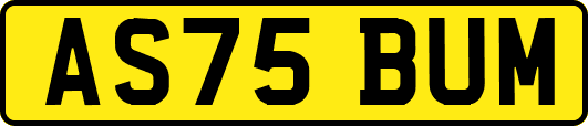 AS75BUM
