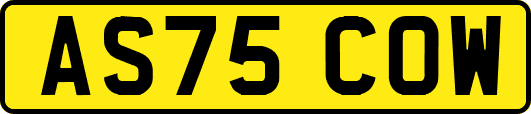 AS75COW
