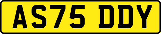 AS75DDY