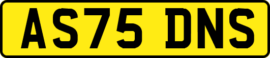 AS75DNS