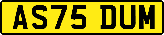 AS75DUM