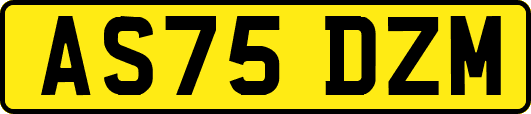 AS75DZM