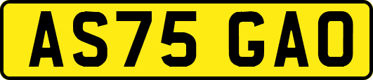 AS75GAO