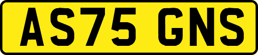 AS75GNS