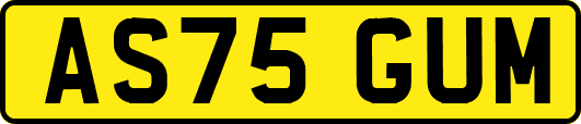 AS75GUM