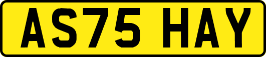 AS75HAY