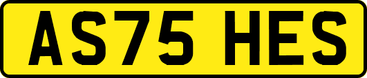 AS75HES