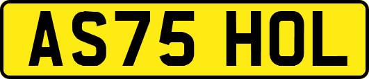 AS75HOL