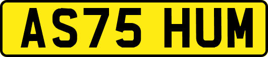 AS75HUM