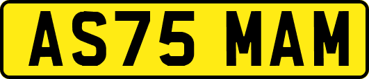 AS75MAM