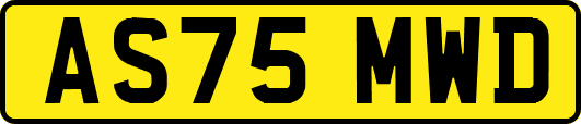 AS75MWD