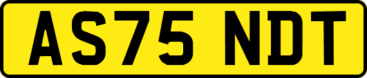 AS75NDT