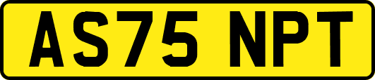 AS75NPT