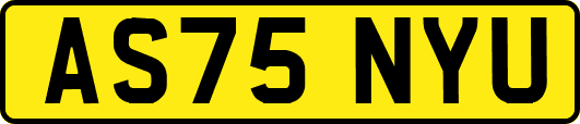 AS75NYU