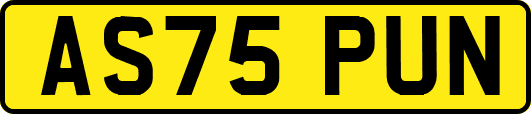AS75PUN