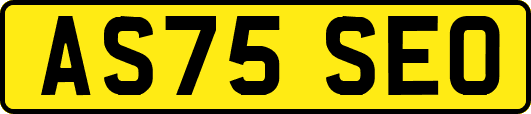 AS75SEO