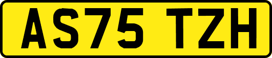 AS75TZH